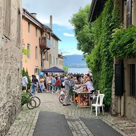 Duplex « les Pieds Dans L'eau » Nernier